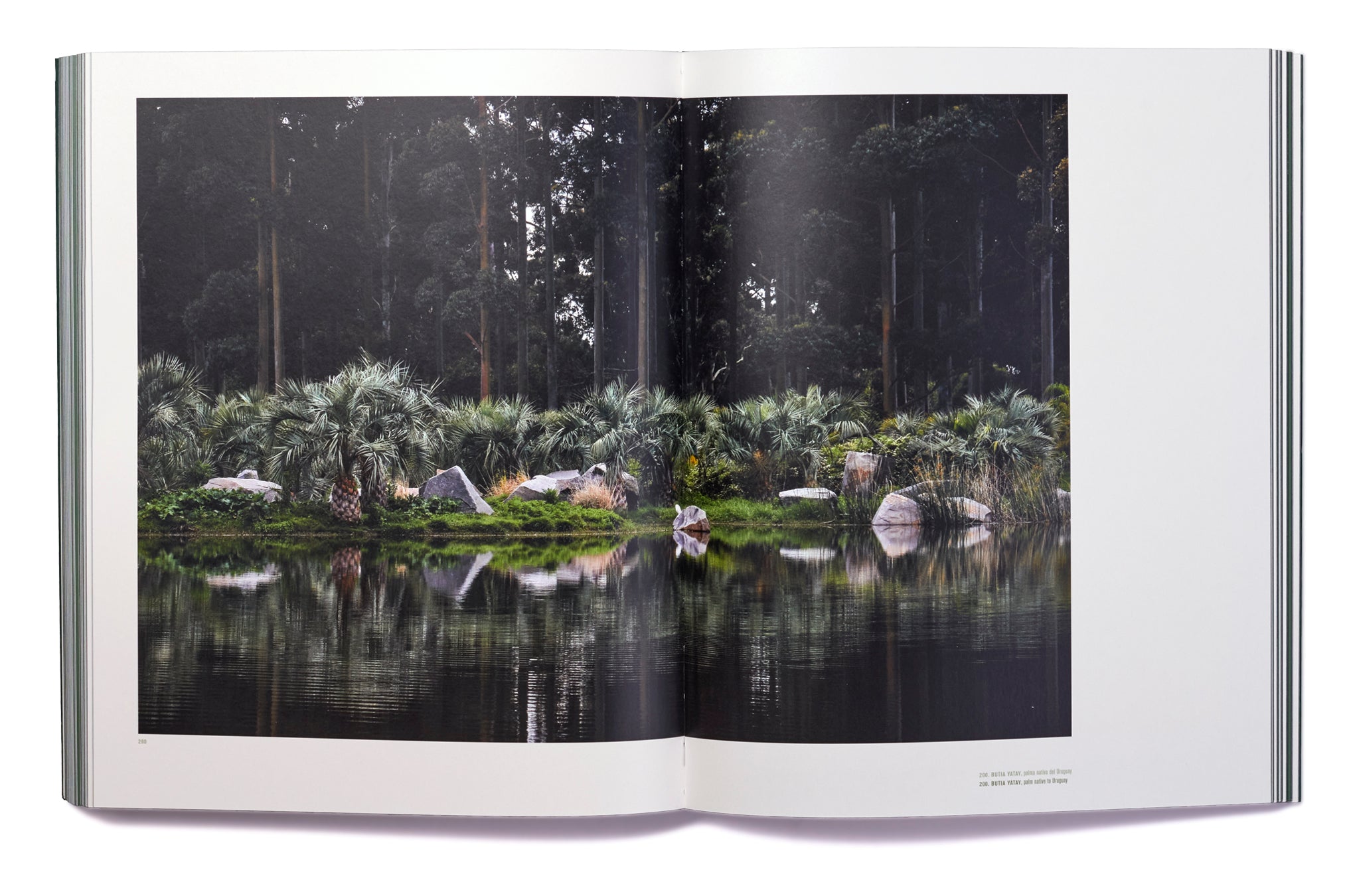 libro juan grimm paisajista Juan Grimm | Ediciones Puro Chile