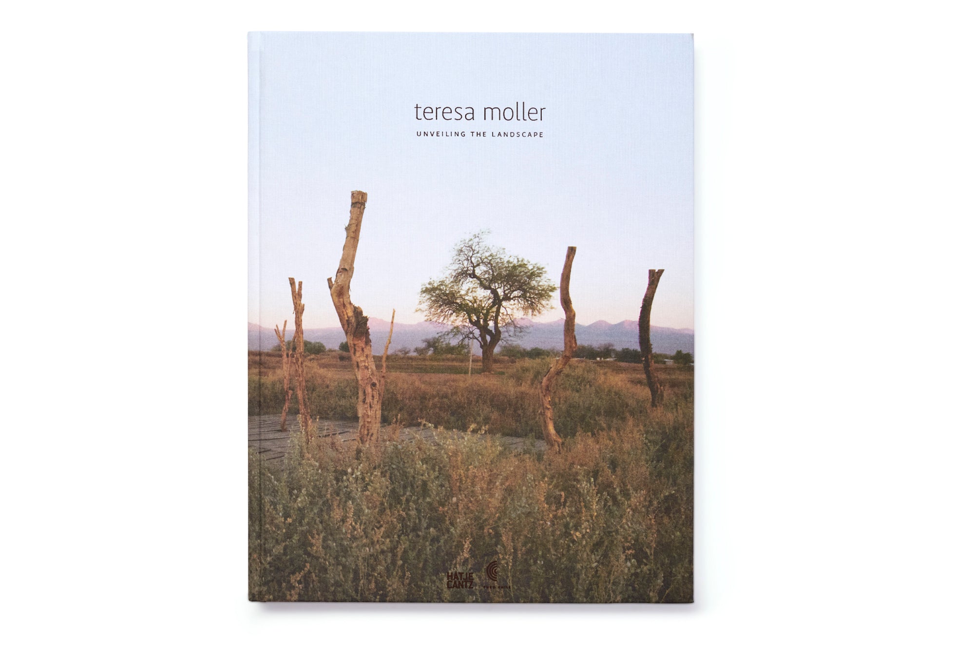 Unveiling the landscape. Teresa Moller – puro-chile